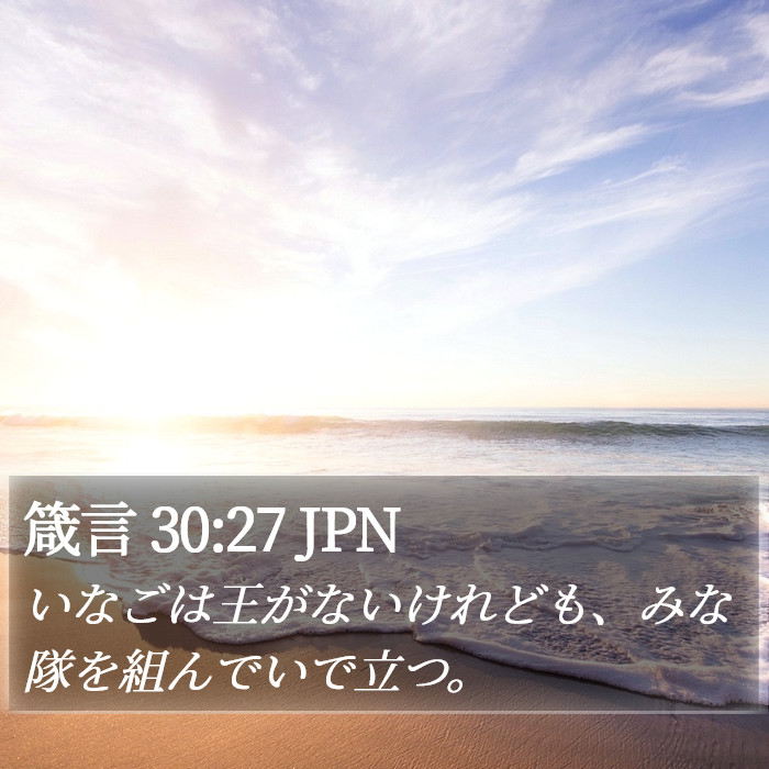 箴言 30:27 JPN Bible Study