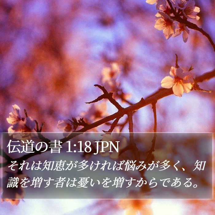 伝道の書 1:18 JPN Bible Study