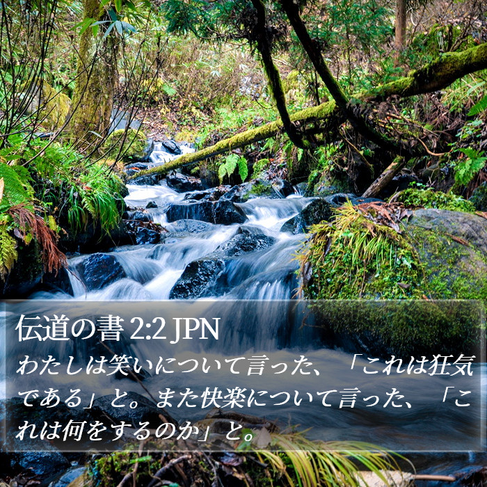 伝道の書 2:2 JPN Bible Study