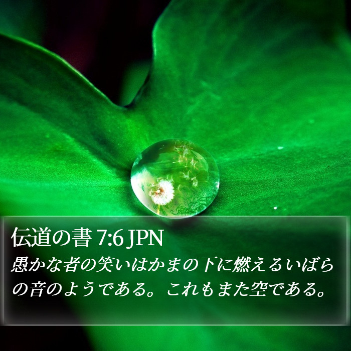 伝道の書 7:6 JPN Bible Study