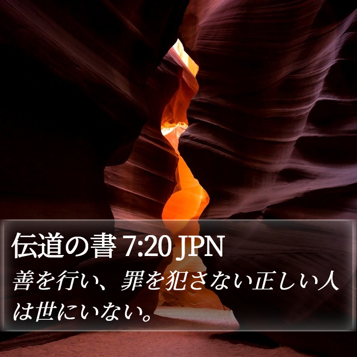 伝道の書 7:20 JPN Bible Study