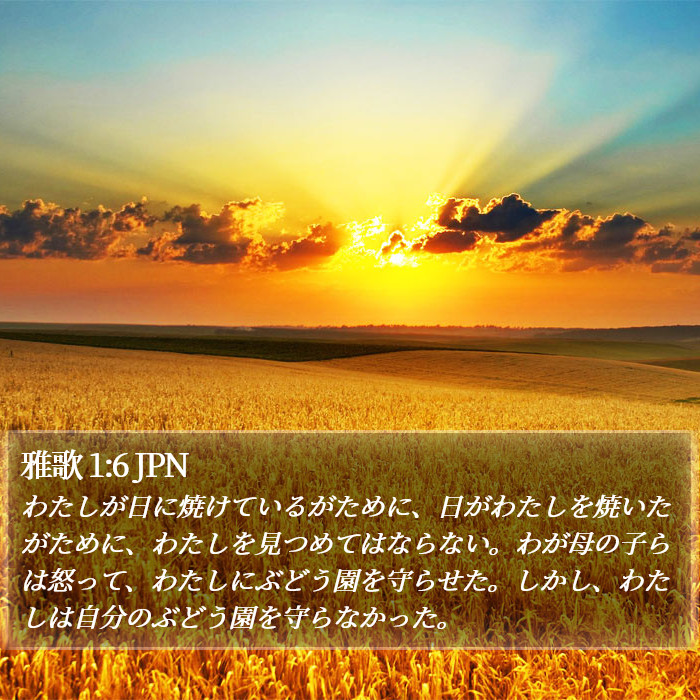 雅歌 1:6 JPN Bible Study