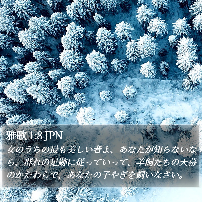 雅歌 1:8 JPN Bible Study