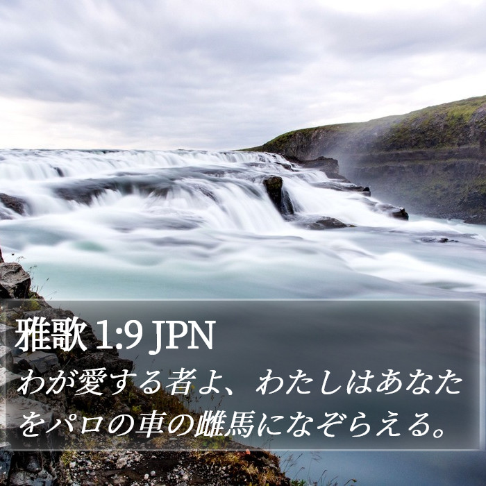 雅歌 1:9 JPN Bible Study