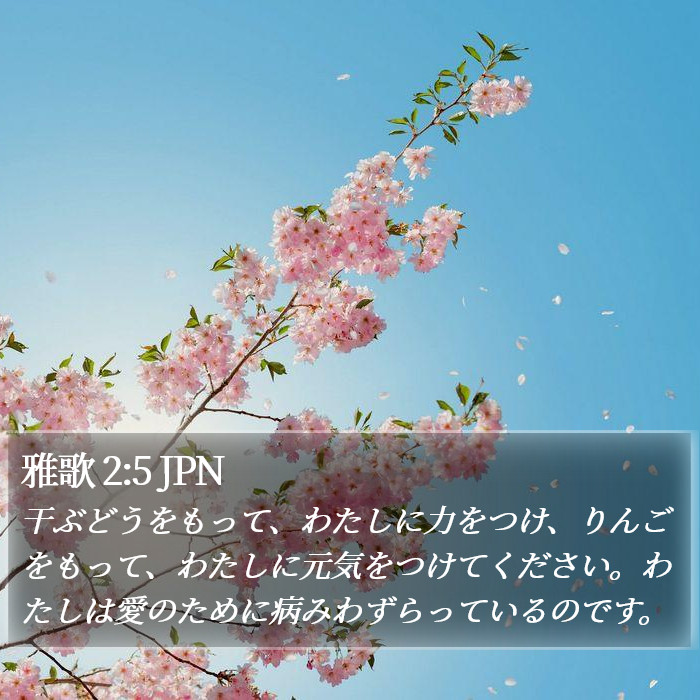 雅歌 2:5 JPN Bible Study