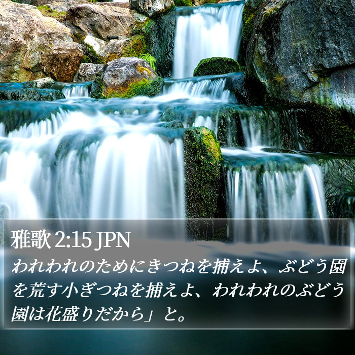 雅歌 2:15 JPN Bible Study