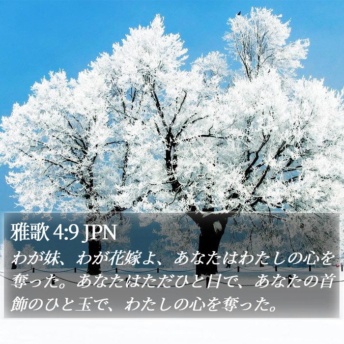 雅歌 4:9 JPN Bible Study