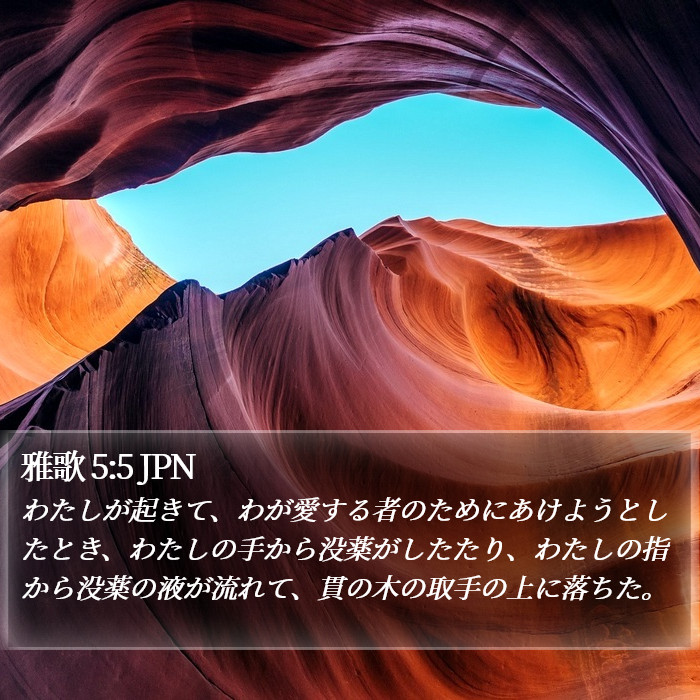 雅歌 5:5 JPN Bible Study