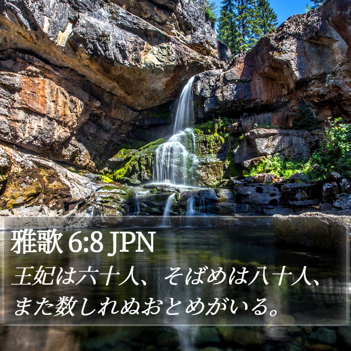 雅歌 6:8 JPN Bible Study