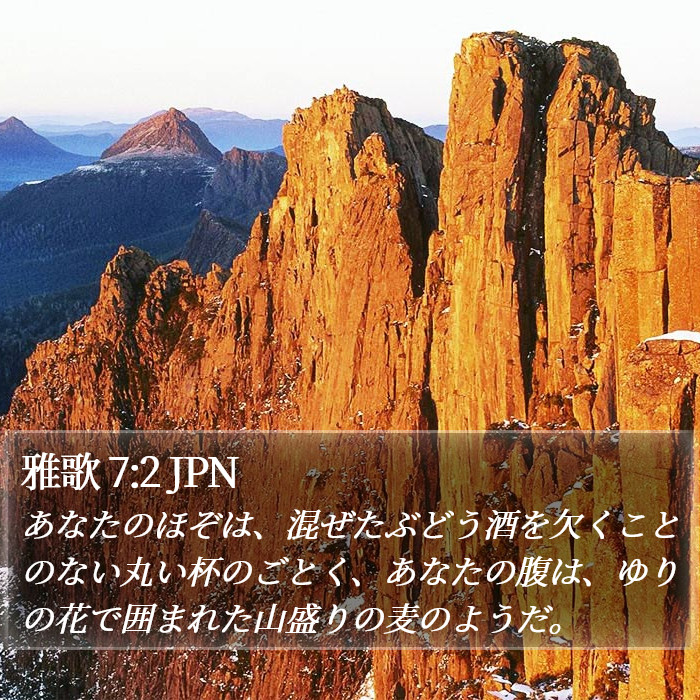 雅歌 7:2 JPN Bible Study