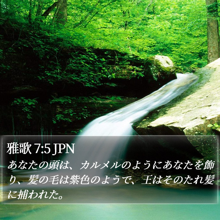 雅歌 7:5 JPN Bible Study