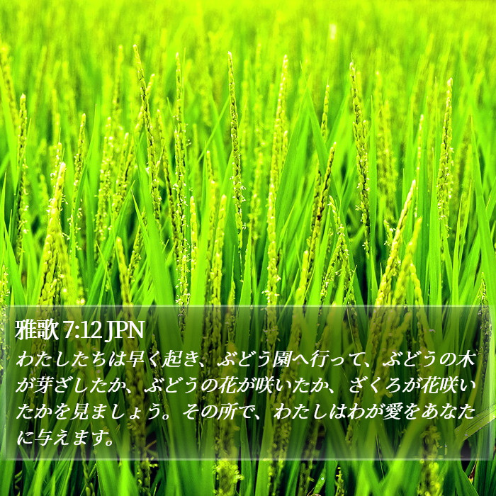 雅歌 7:12 JPN Bible Study