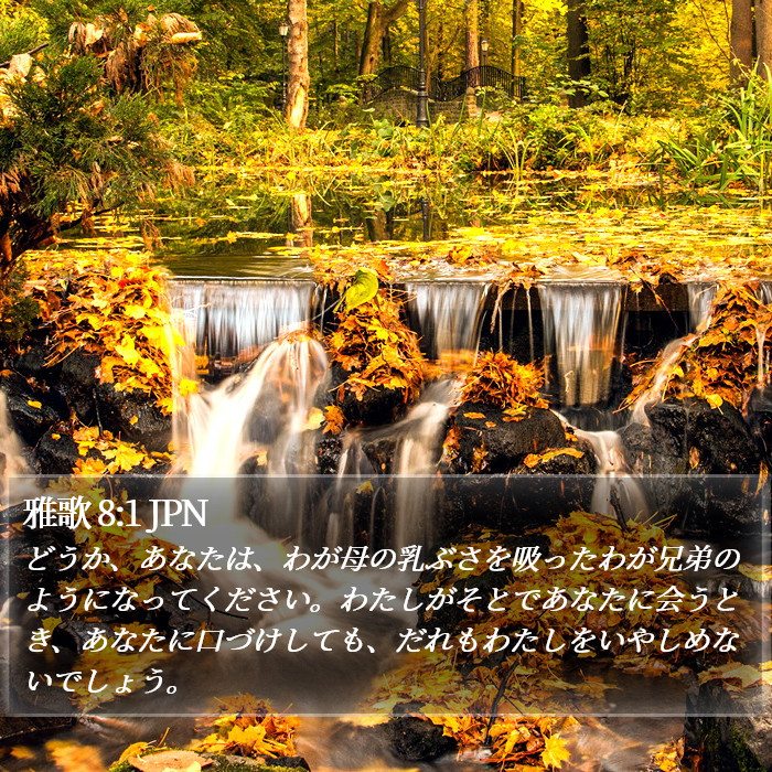 雅歌 8:1 JPN Bible Study