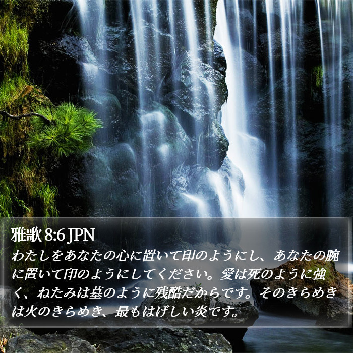雅歌 8:6 JPN Bible Study