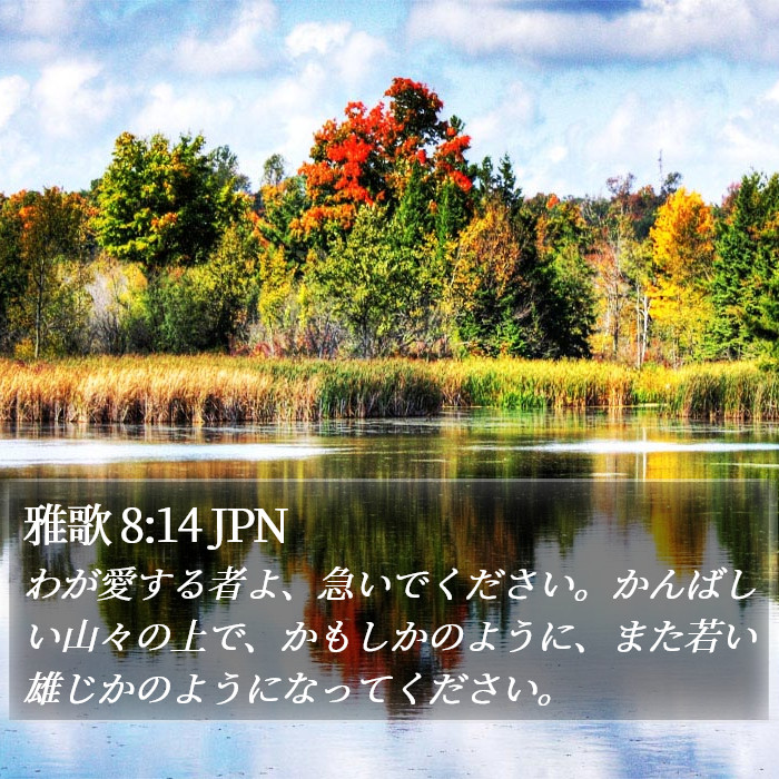 雅歌 8:14 JPN Bible Study