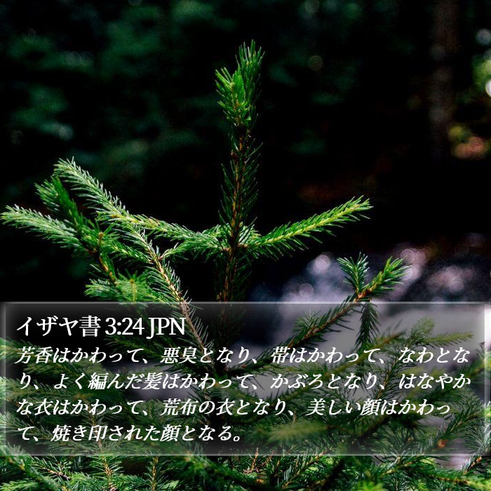 イザヤ書 3:24 JPN Bible Study