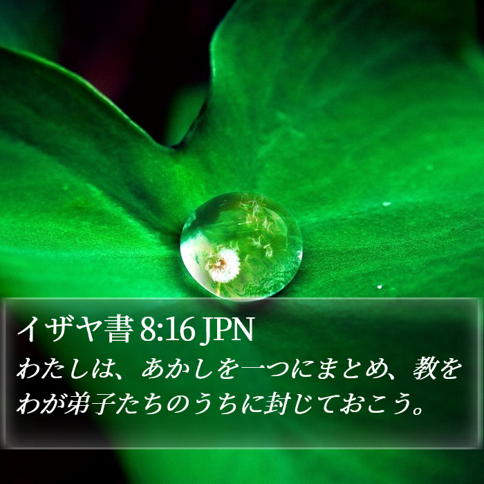 イザヤ書 8:16 JPN Bible Study