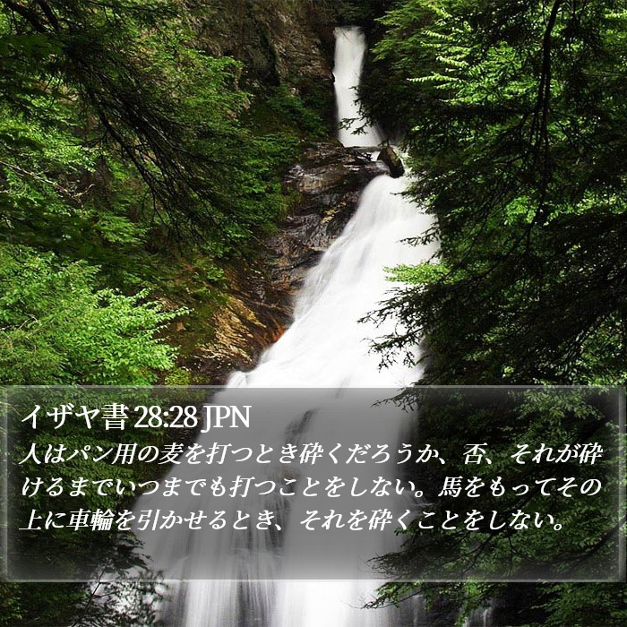 イザヤ書 28:28 JPN Bible Study