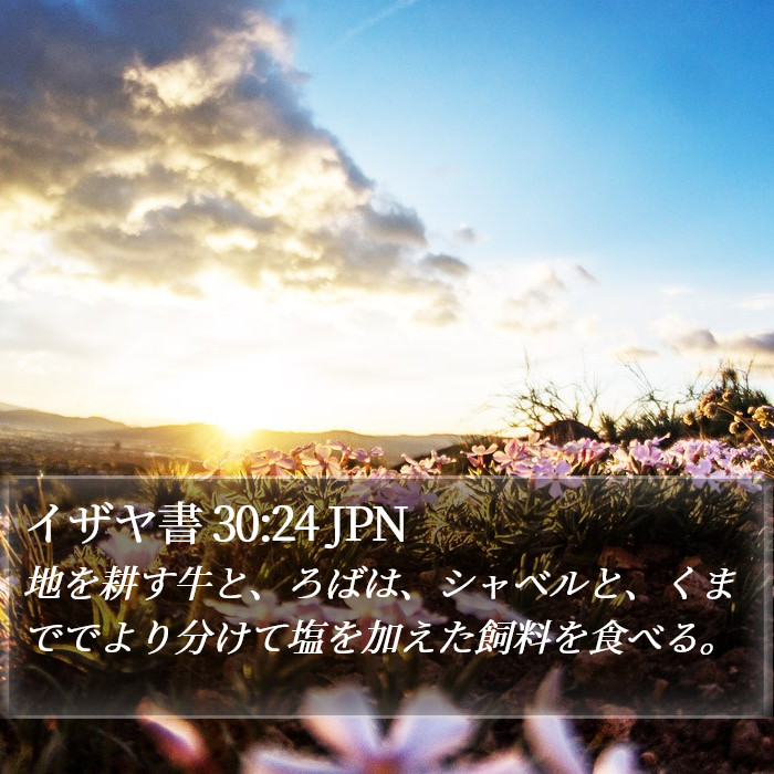 イザヤ書 30:24 JPN Bible Study
