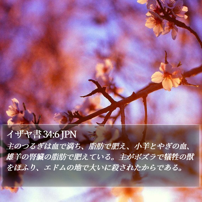 イザヤ書 34:6 JPN Bible Study