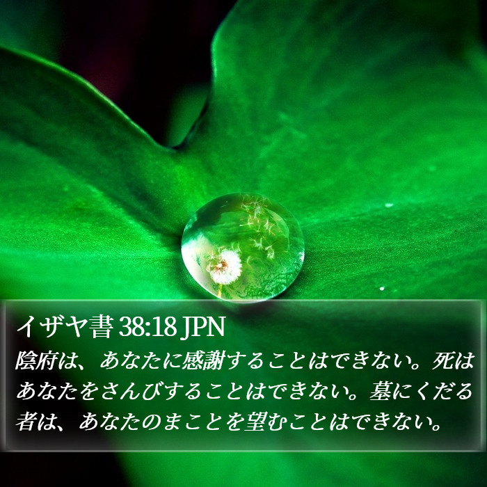 イザヤ書 38:18 JPN Bible Study