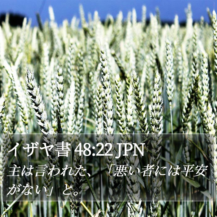 イザヤ書 48:22 JPN Bible Study