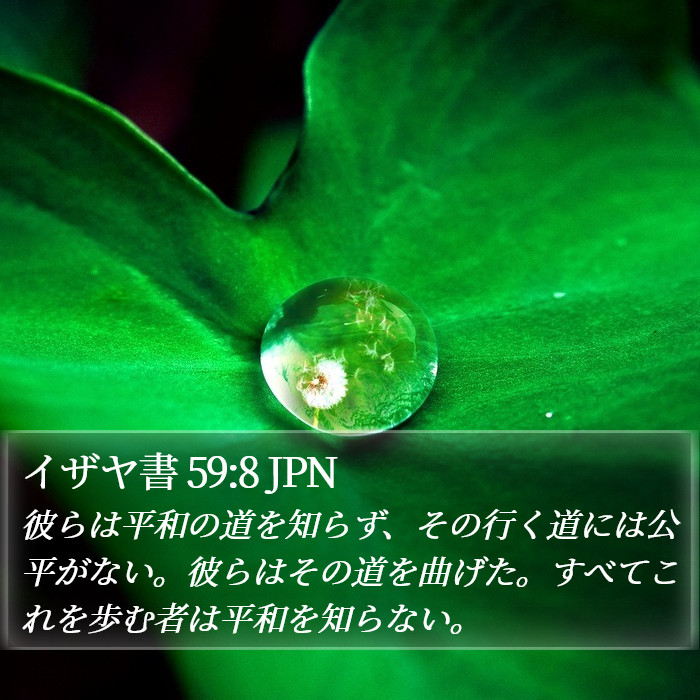 イザヤ書 59:8 JPN Bible Study