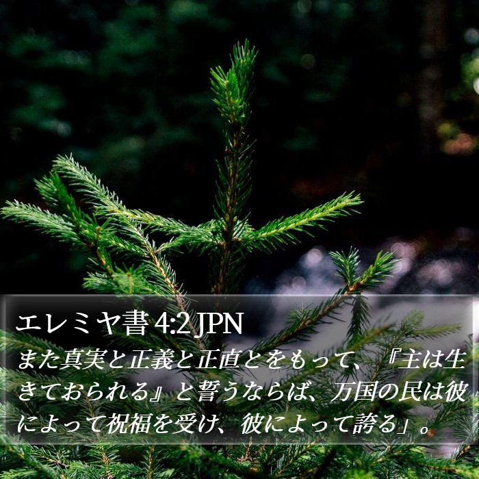 エレミヤ書 4:2 JPN Bible Study