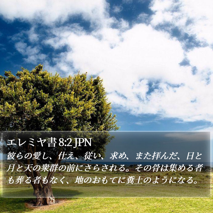 エレミヤ書 8:2 JPN Bible Study