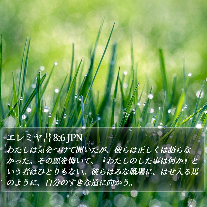 エレミヤ書 8:6 JPN Bible Study