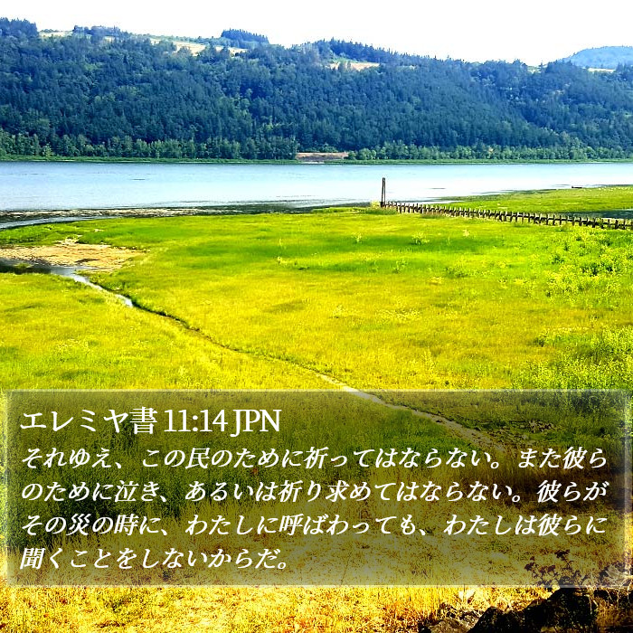 エレミヤ書 11:14 JPN Bible Study