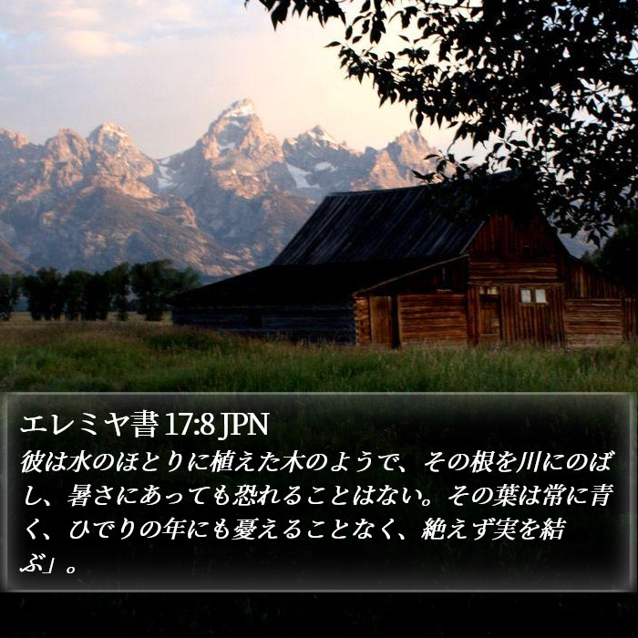 エレミヤ書 17:8 JPN Bible Study
