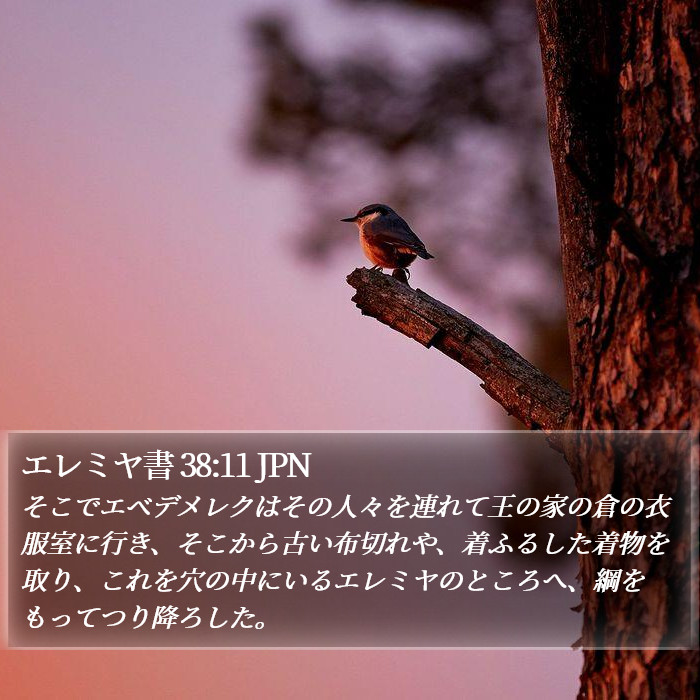 エレミヤ書 38:11 JPN Bible Study