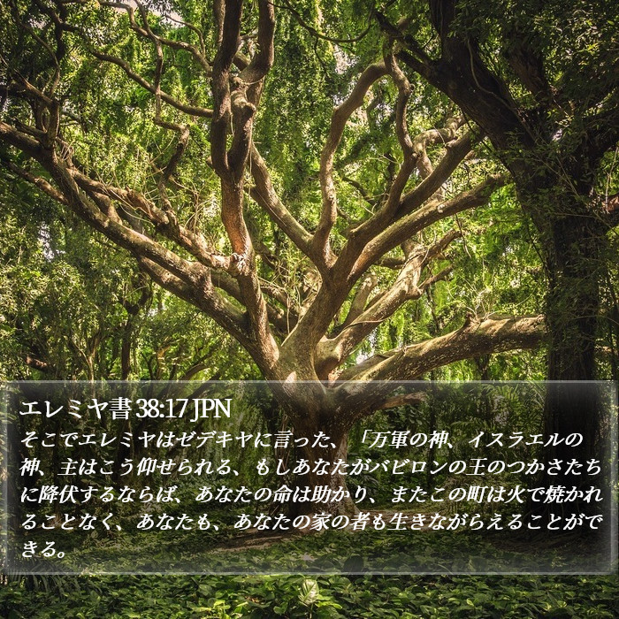 エレミヤ書 38:17 JPN Bible Study
