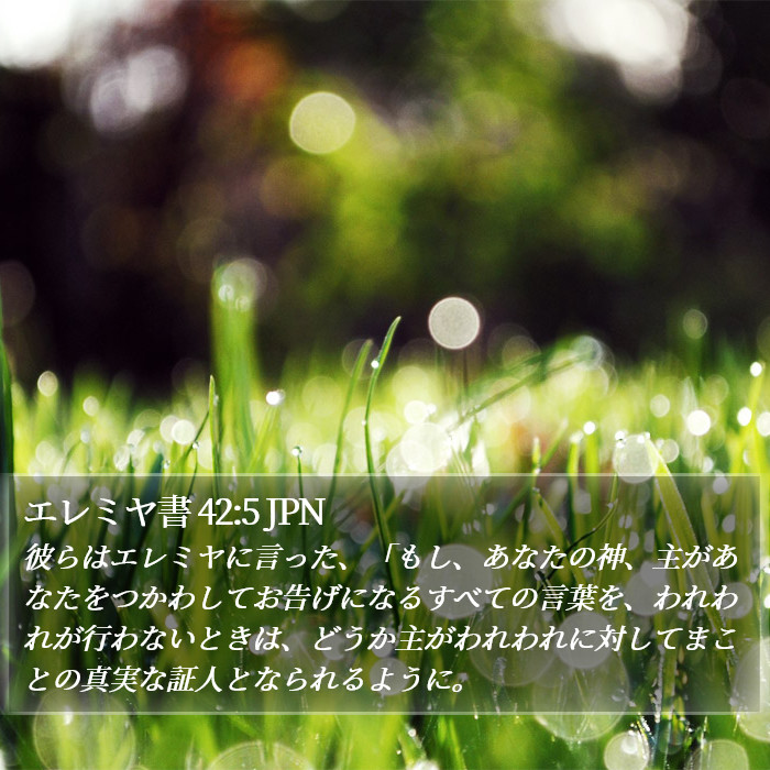 エレミヤ書 42:5 JPN Bible Study
