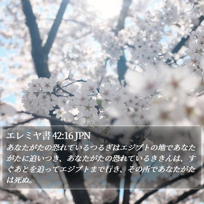 エレミヤ書 42:16 JPN Bible Study
