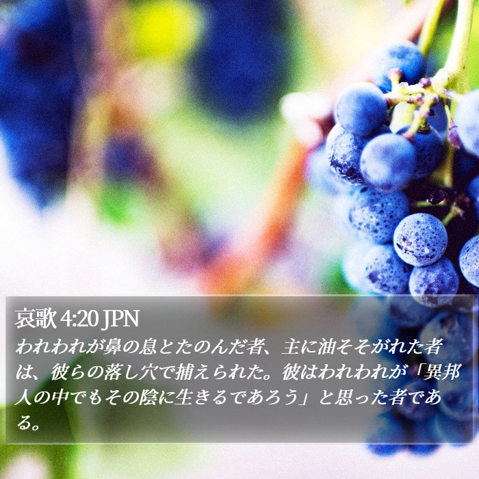 哀歌 4:20 JPN Bible Study