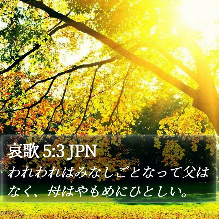 哀歌 5:3 JPN Bible Study