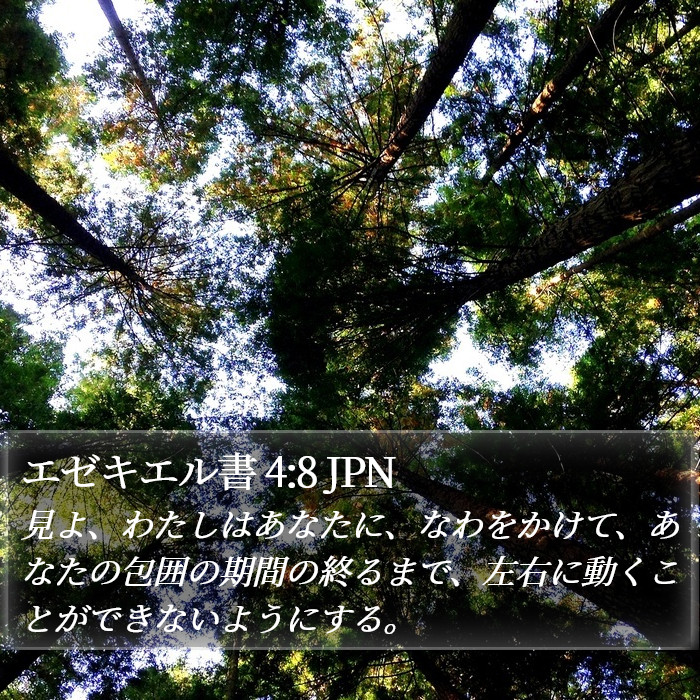 エゼキエル書 4:8 JPN Bible Study