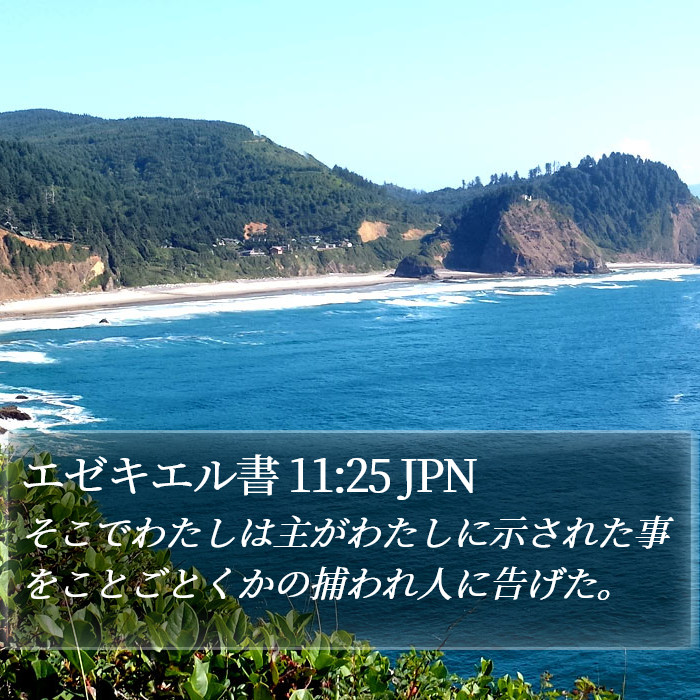 エゼキエル書 11:25 JPN Bible Study