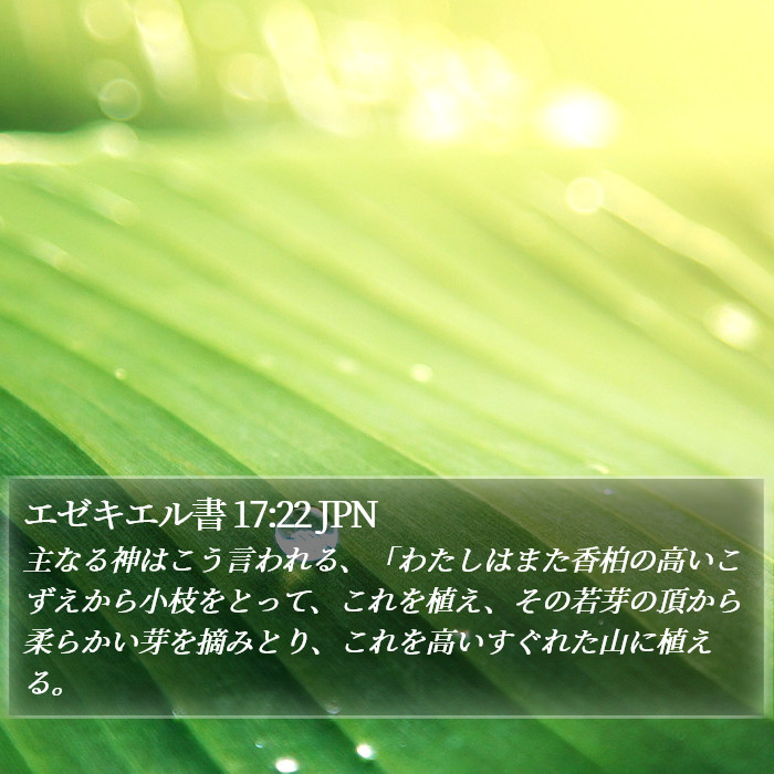 エゼキエル書 17:22 JPN Bible Study