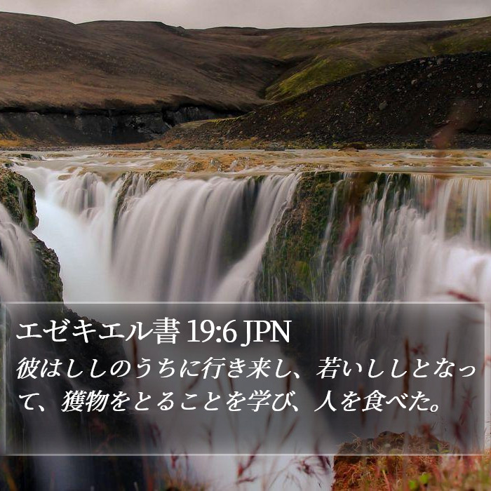 エゼキエル書 19:6 JPN Bible Study