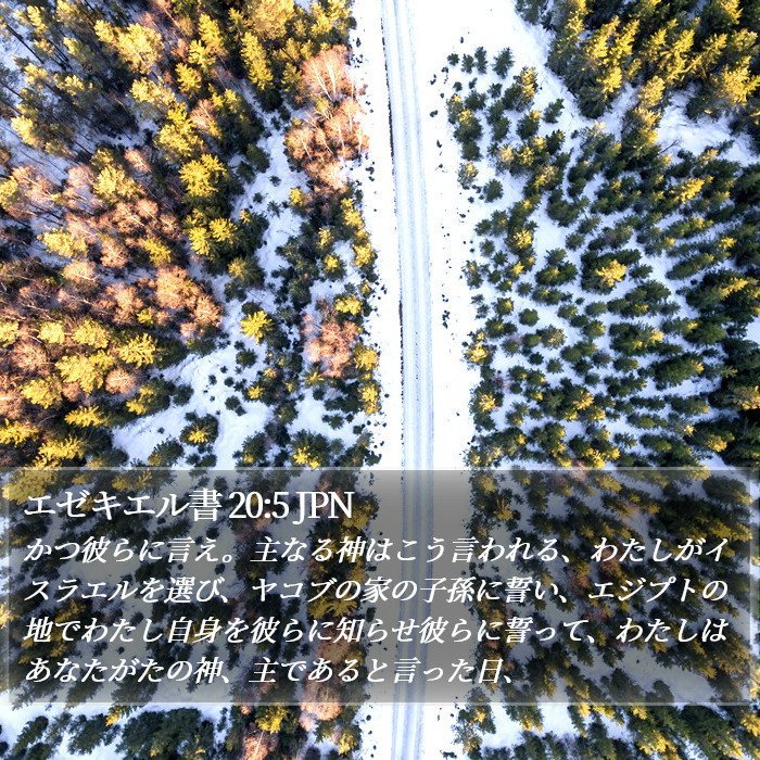 エゼキエル書 20:5 JPN Bible Study