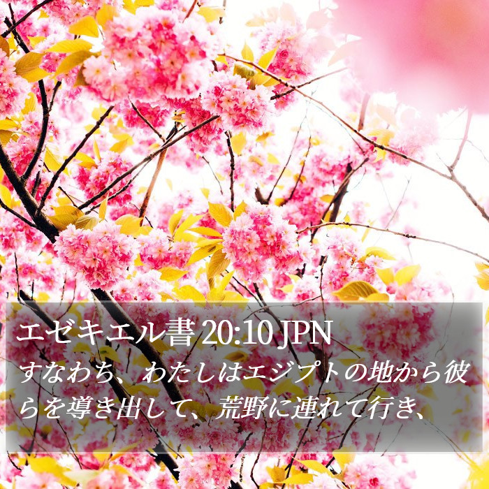 エゼキエル書 20:10 JPN Bible Study