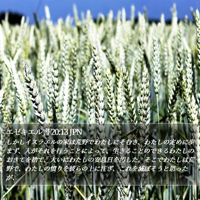 エゼキエル書 20:13 JPN Bible Study