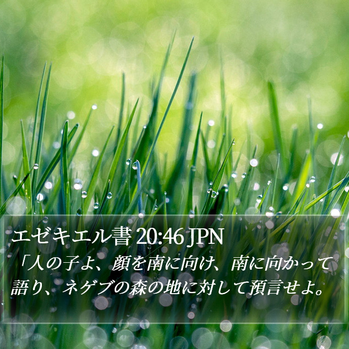 エゼキエル書 20:46 JPN Bible Study