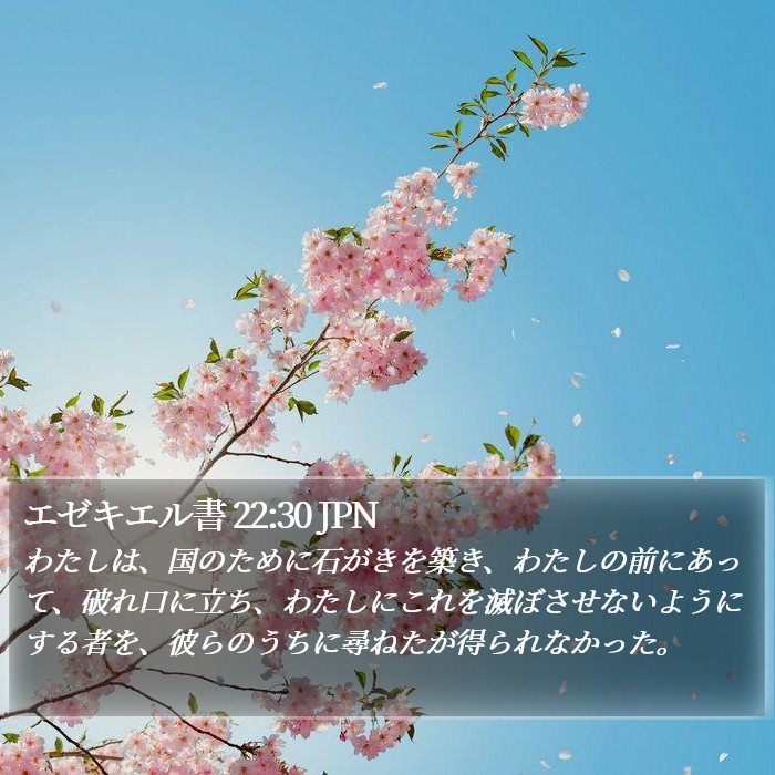 エゼキエル書 22:30 JPN Bible Study