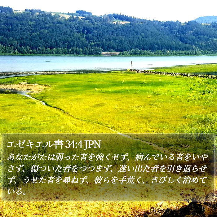 エゼキエル書 34:4 JPN Bible Study