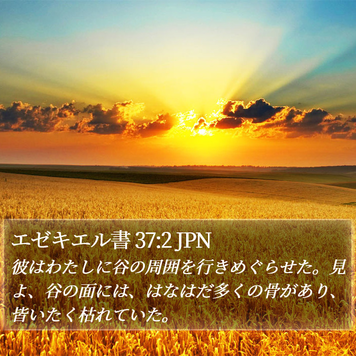 エゼキエル書 37:2 JPN Bible Study