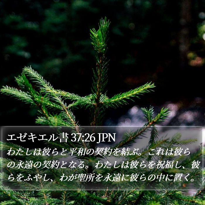 エゼキエル書 37:26 JPN Bible Study